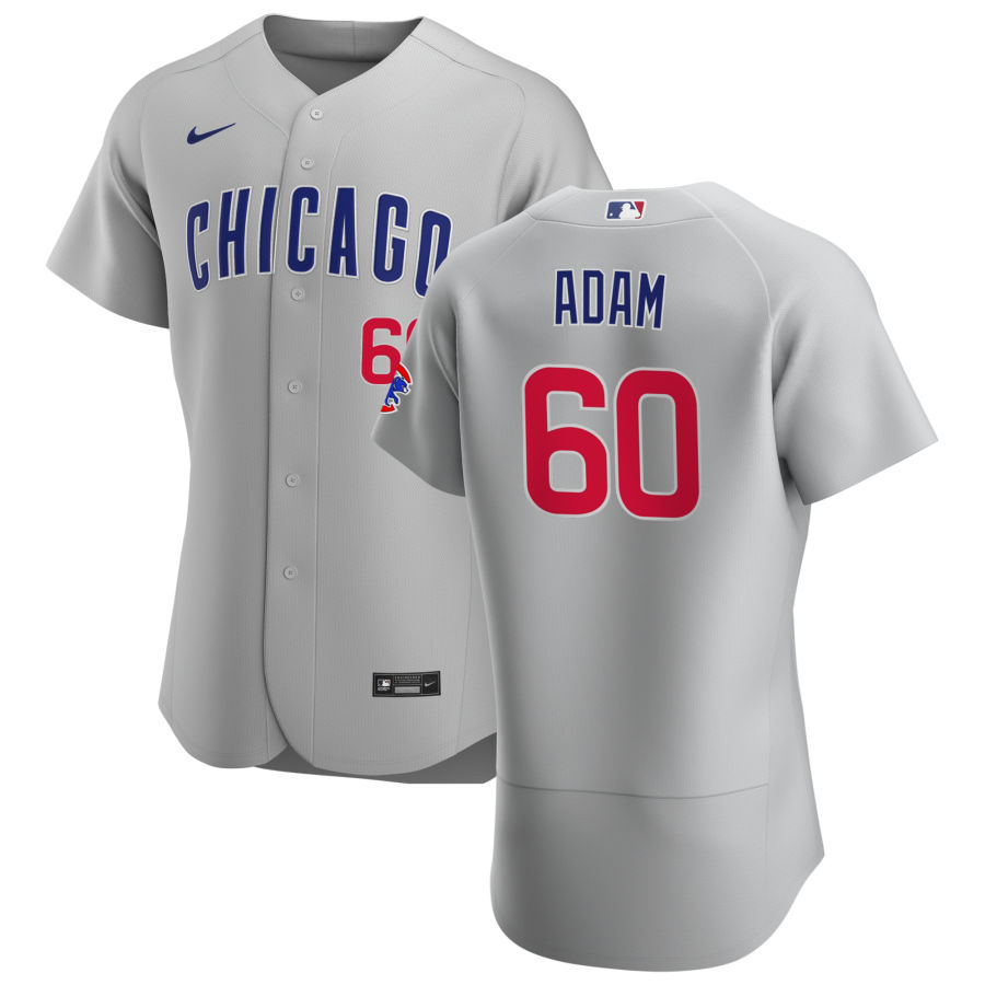 Chicago Cubs #60 Jason Adam Men Nike Gray Road 2020 Authentic Team Jersey